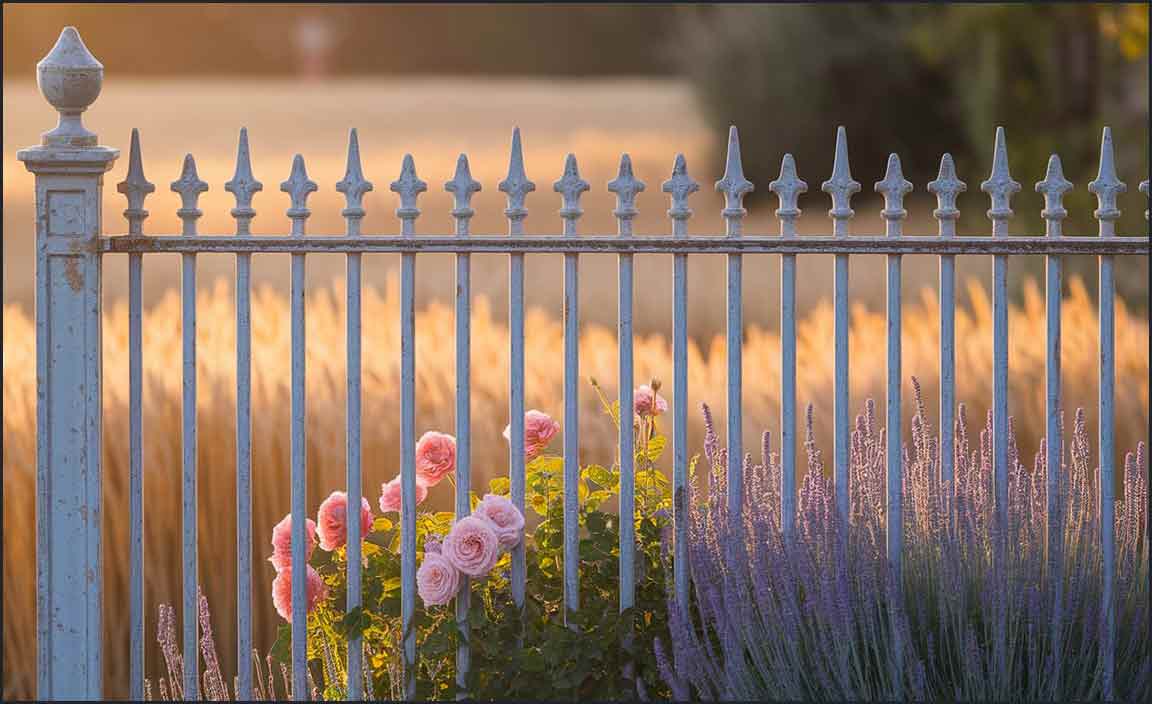 How to Install Fencing Borders