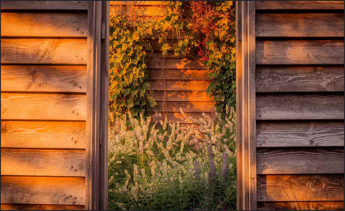 Installation Process for Wooden Walls