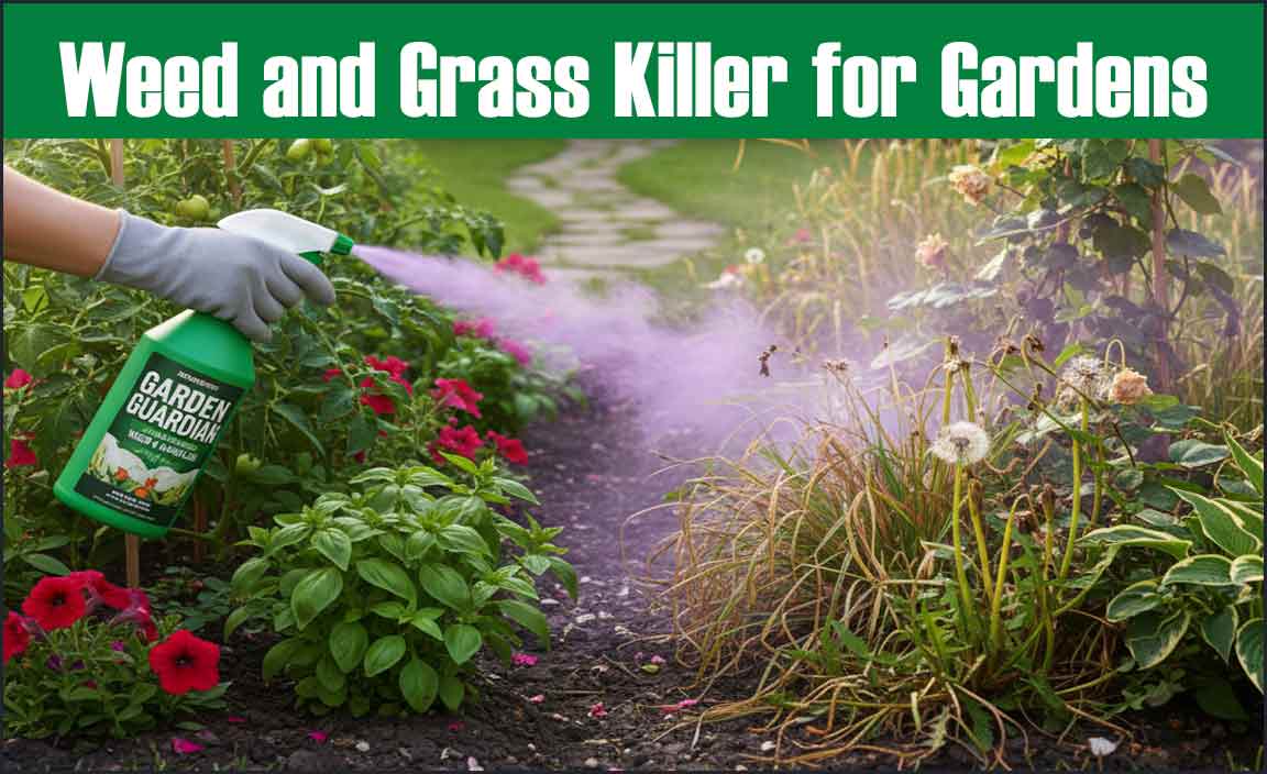 Weed and Grass Killer for Gardens