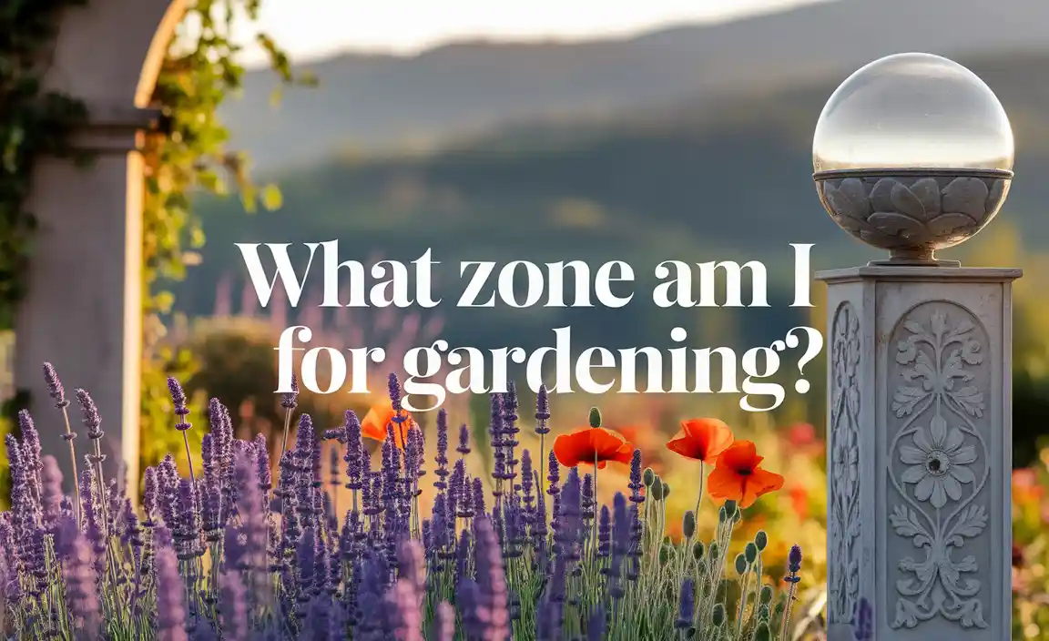 What Zone Am I for Gardening