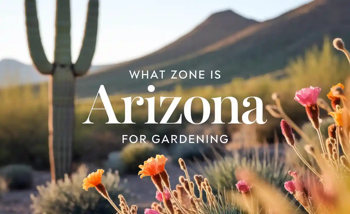 What Zone Is Arizona for Gardening
